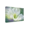 thumbnail image 4 of Canvas Wall Art - Jacky Parker 'Serene' Wall Art for Living Room, Bedroom, or Office D?cor by Trademark Fine Art - 47 x 30 Inches, 4 of 4