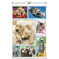 thumbnail image 3 of Keith Kimberlin - Puppies and Kittens Collage Wall Poster with Magnetic Frame, 22.375" x 34", 3 of 6