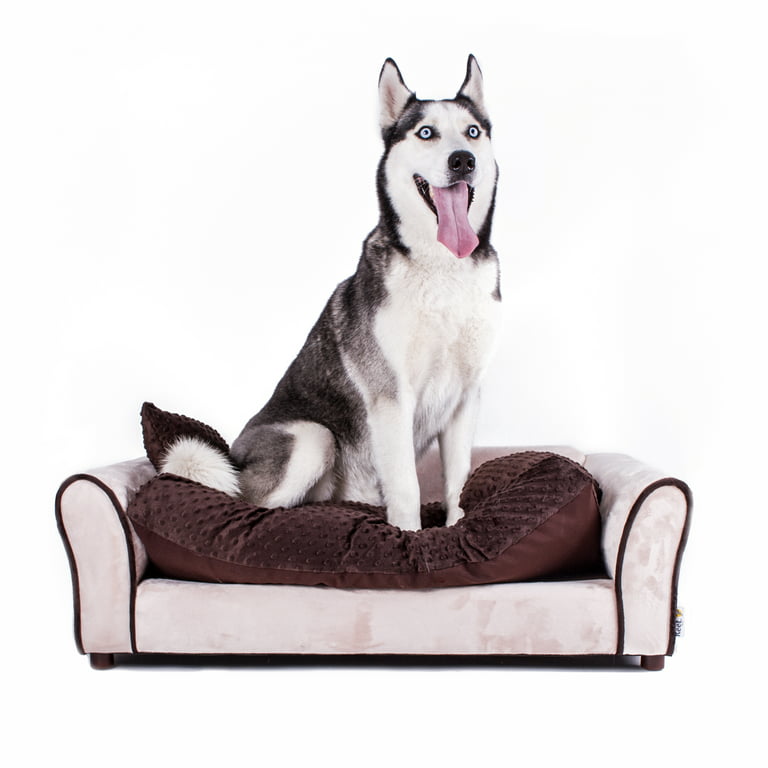 Keet Westerhill Pet Sofa Bed Com