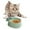 Green, variant on Cat Bowl Pet Feeder, Multifunctional Practical Lightweight Durable Feeding Water Orange