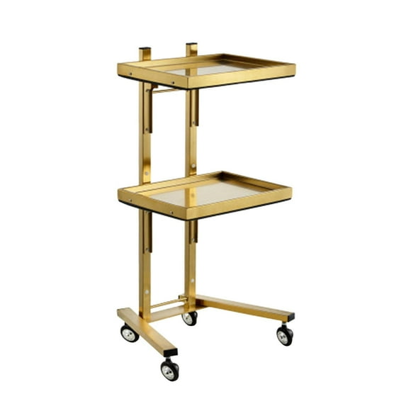 TISHITA Rolling Salon Tray Cart Hairstylist Tray Rolling Cart for Barber SPA Studios Gold