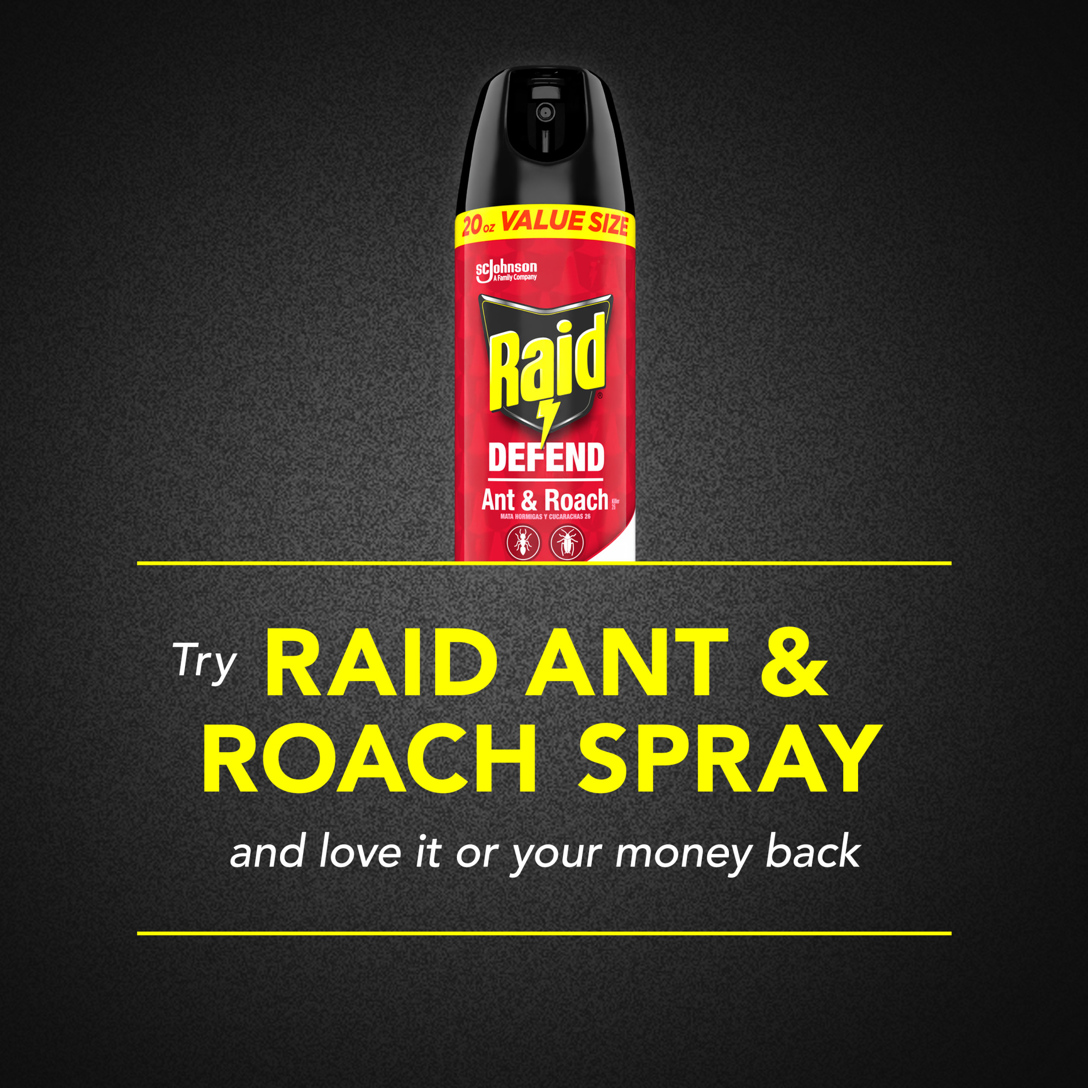 Raid Defend Ant & Roach Killer, Indoor Insecticide, Residual Killing Power, Fragrance Free, 20 oz, 2 Count