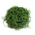 thumbnail image 2 of SuperMoss Preserved Spanish Moss, Hunter Green, Approx. 2oz, 2 of 2