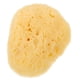 thumbnail image 5 of ColoMX Padena de eliminación de maquillaje Ponja facial Cleansing Exfoliating Sponge esponja reutilizable, 5 of 7