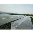 thumbnail image 2 of Patio Net Protector Cover for Plantting Fruit Vagetable Flowers Mesh Bird-proof Net Cover 600*1000cm, 2 of 9