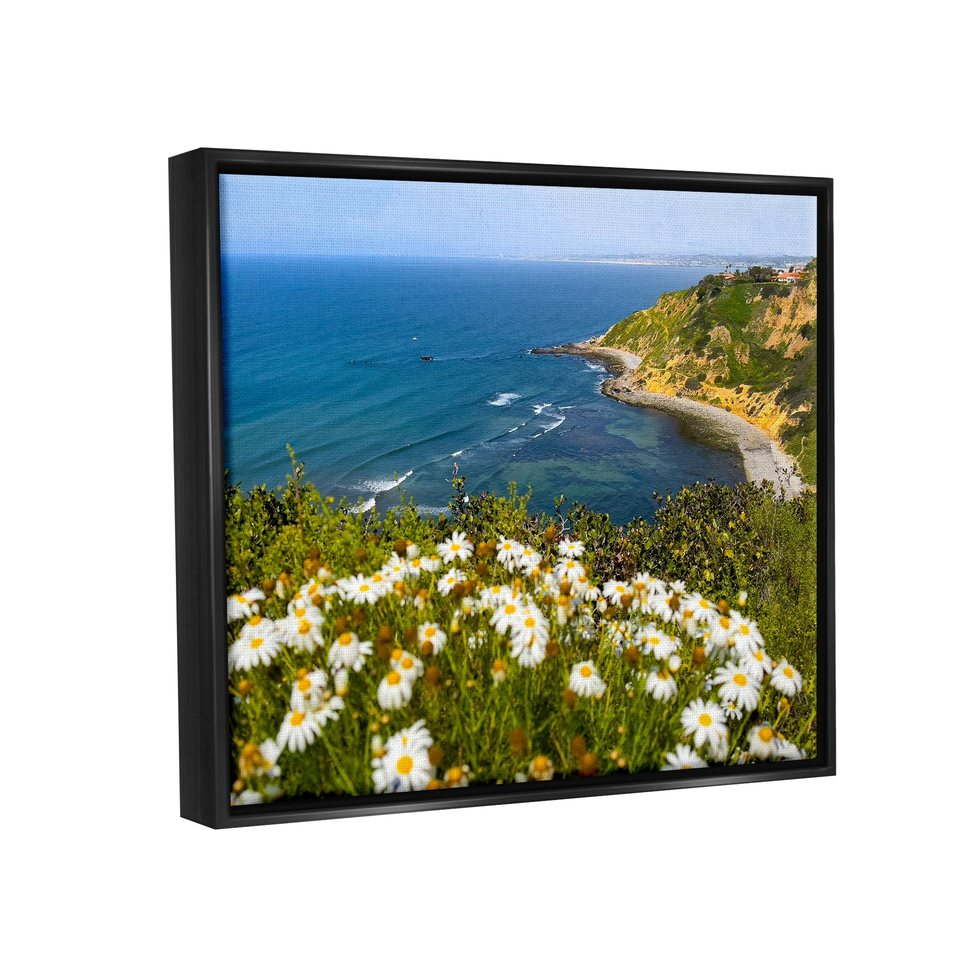 Stupell Industries Meadow over Ocean Tide Landscape Photography Black Floater Framed Canvas Art Print Wall Art, 21 x 17