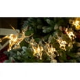 thumbnail image 2 of Celebrations LED Warm White 10 ct String Christmas Lights, 2 of 3