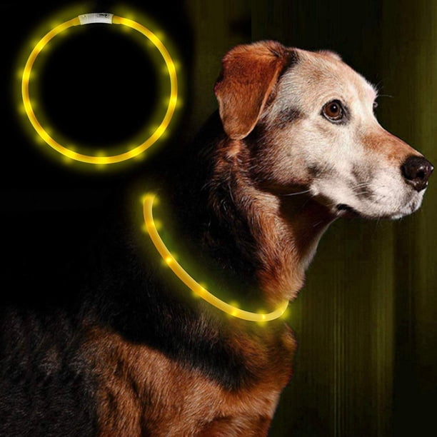 Collar con luz LED para perros, collar de seguridad para mascotas de longitud ajustable y recargable por USB para perros y gatos