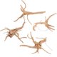 thumbnail image 1 of Natural Aquarium Decor Fish Tank Ornaments Decorative Wood Root Shape Light Brown 20-25CM 4Pcs, 1 of 5