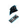 thumbnail image 1 of Carolina Panthers Double Up Die Cut Vinyl Stickers, 1 of 1