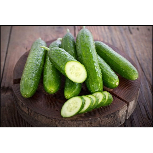 Sweet Success Hybrid Burpless Cucumber Seeds - Non-GMO - 10 Seeds