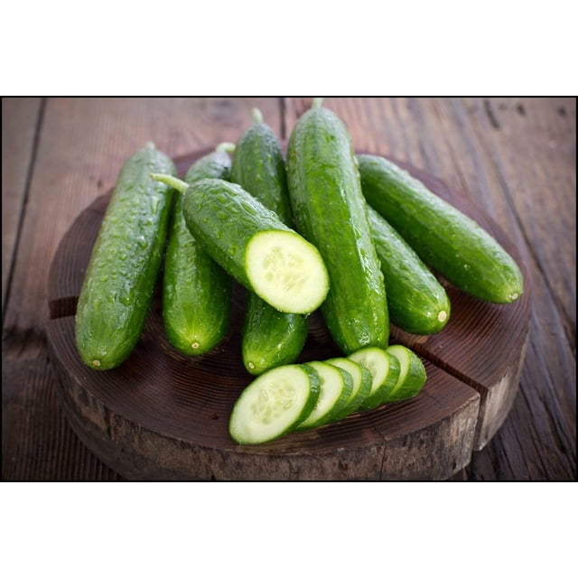 Sweet Success Hybrid Burpless Cucumber Seeds - Non-GMO - 10 Seeds