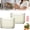 Green 2Pcs L, variant on Crystal Clear Freezer Storage Bins, Freezer Organizer Bins and Refrigerator Drawers, Stackable Upright Deep Chest Freezer Organizer Bins for Meat and Veggies