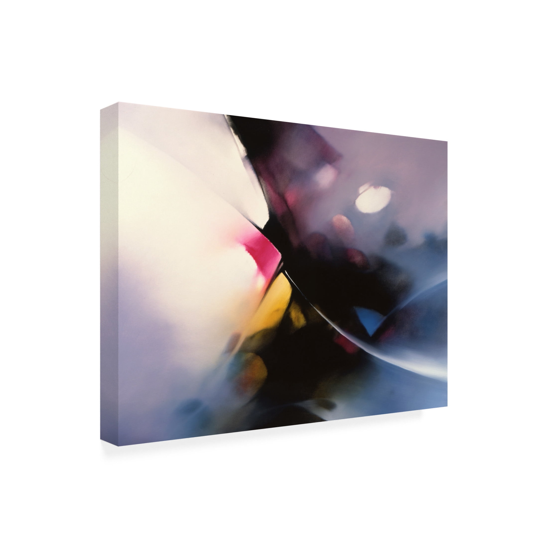 Canvas Wall Art - Thomas Leung 'Variation' Wall Art for Living Room, Bedroom, or Office Décor by Trademark Fine Art - 24 x 18 Inches