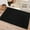 Black, variant on FloorHug Indoor Doormat 24"x36", Soft and Absorbent Door Mat Non-Slip, Dirt Trapper Mat Door Mats Low Profile Floor Mat Machine Washable for Entrance, Inside, Kitchen, Front Back Door, Dark Grey