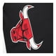 thumbnail image 3 of Short Básquetbol FexPro México NBA Talla M Chicago Bulls Negro, 3 of 3