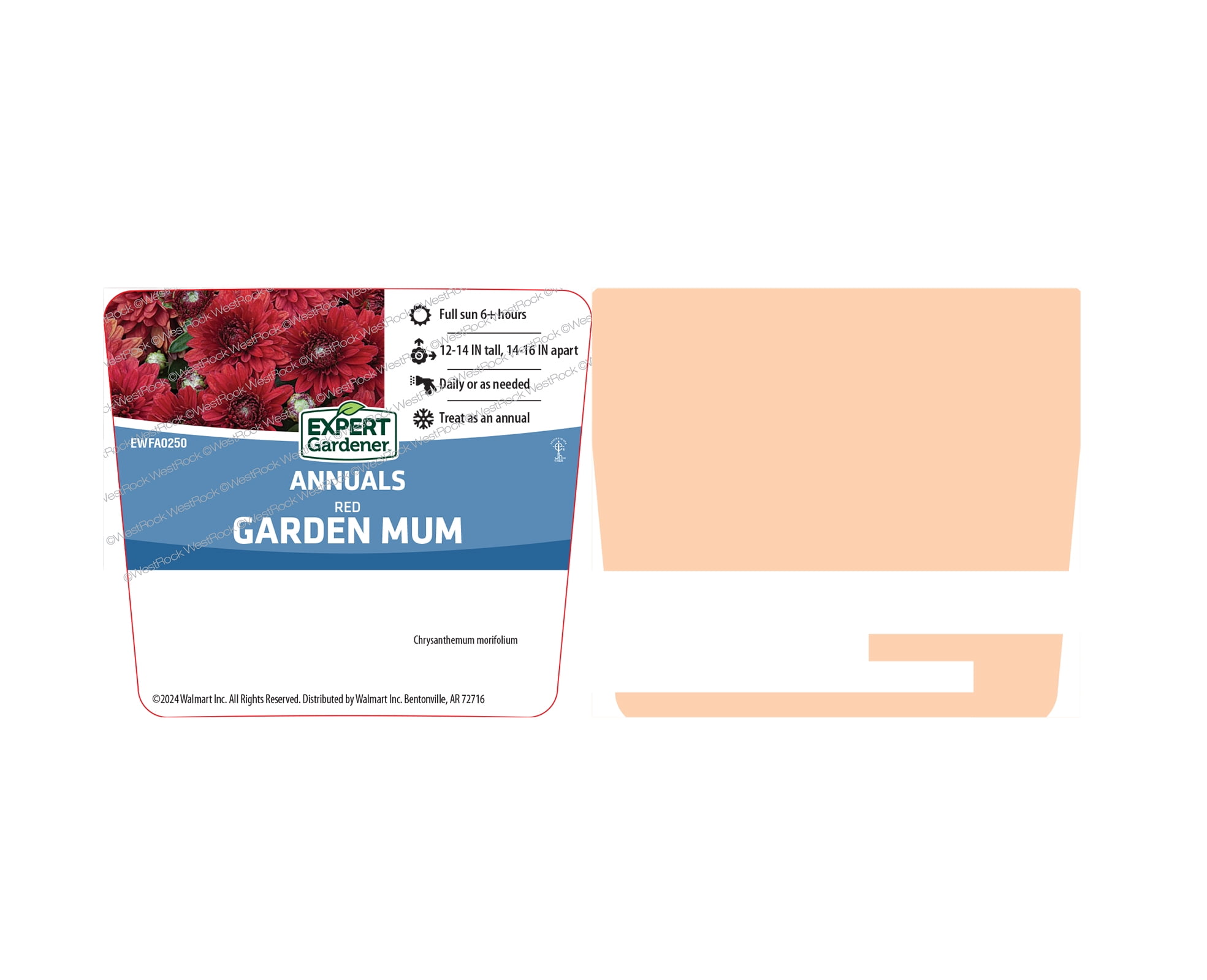 Expert Gardener 3QT Mum Red