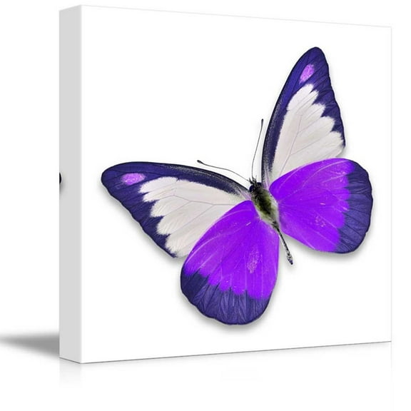 Canvas Prints Wall Art - Beautiful Flying Purple Butterfly on White Background | Modern Wall Decor/Home Decoration Stretched Gallery Canvas Wrap Giclee Print & Ready to Hang - 12" x 12"