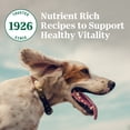thumbnail image 3 of Nutro Natural Choice Adult Dry Dog Food Lamb & Brown Rice Recipe 2.27kg, 3 of 18