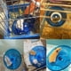 thumbnail image 5 of Columpios para animales pequeños, rueda de ejercicio para hámster, sirio, rata, jerbo, conejillo de indias, ardilla listada, ratón, erizo, 2 piezas, 5 of 8