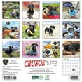 thumbnail image 2 of Willow Creek Press, Crusoe the Celebrity Dachshund 2025 Wall Calendar, 2 of 4