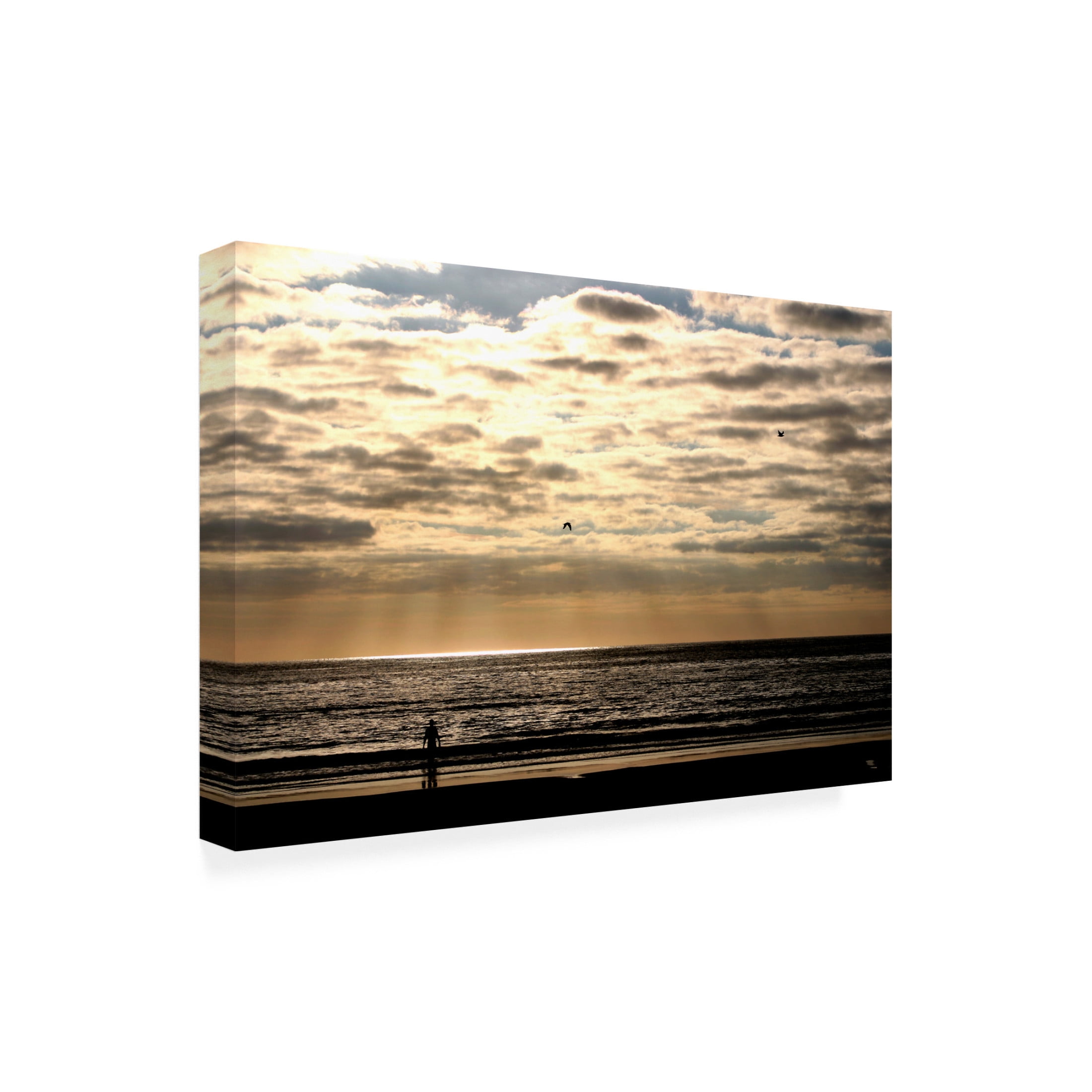 Canvas Wall Art - DANE 'Beaches 3' Wall Art for Living Room, Bedroom, or Office Décor by Trademark Fine Art - 19 x 12 Inches