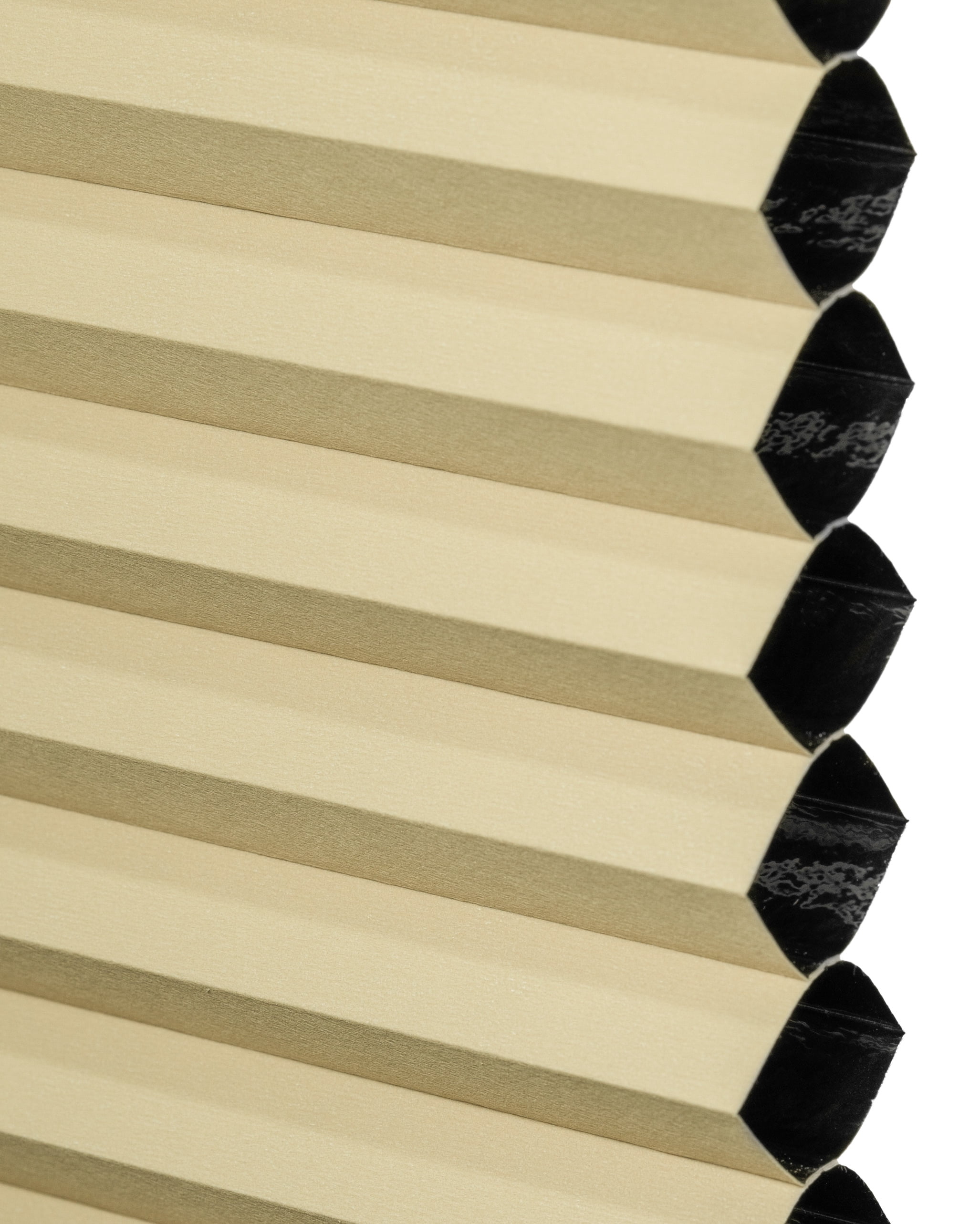 Chicology Cordless Cellular Shade Blackout, Ecru 55.75"W x 72"H