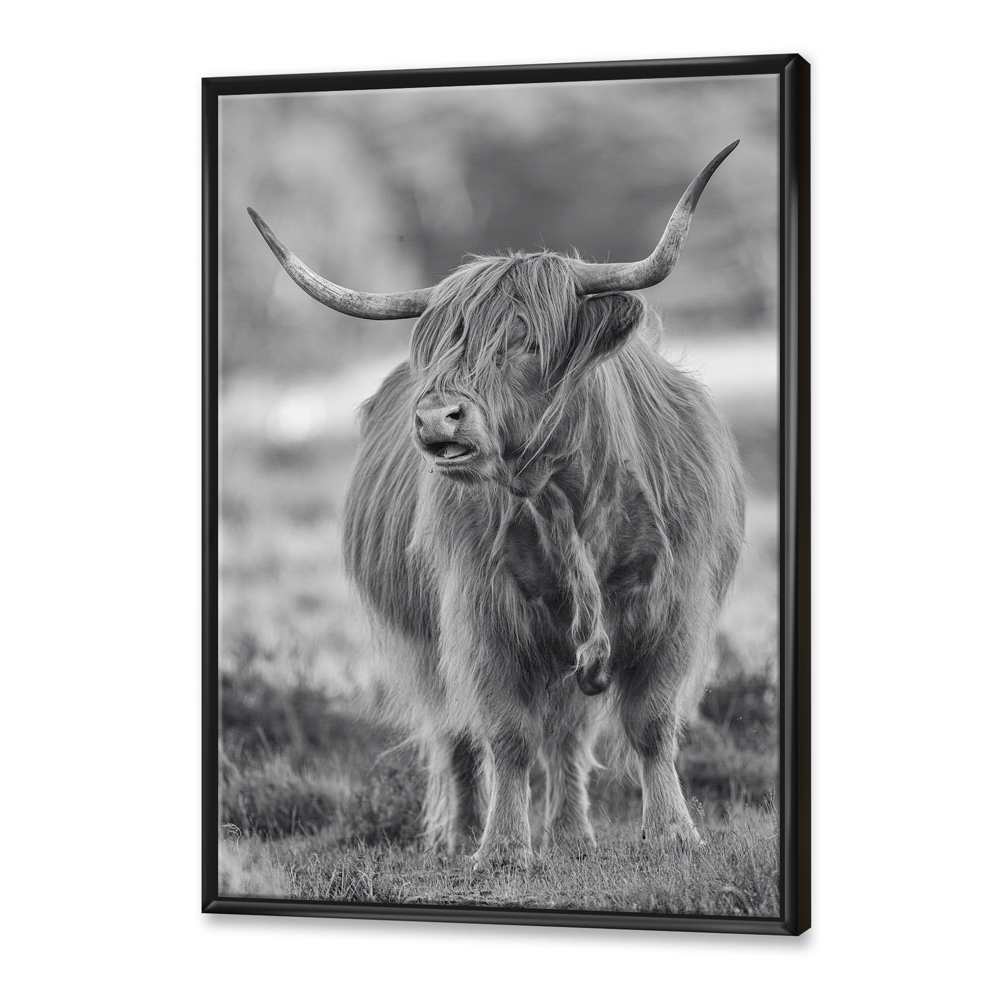 Close Up View of Monochrome Bull 16 in x 32 in Framed Photography Canvas Art Print, by Designart