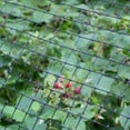 thumbnail image 2 of YARDGARD 7 Foot by 100 Foot Black Folded Deer Block Netting, 2 of 5