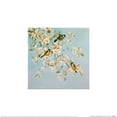 thumbnail image 1 of Fletcher Prentice Song Birds And Apple Blossom Poster, 1 of 1