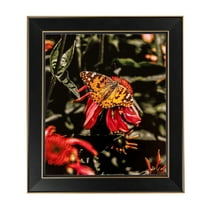 ArtToFrames 12x17" Honors Black with Gold Picture Frame, Black Wood Poster Frame, with Regular Glass and 2 (FBPL-5158)