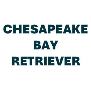 Chesapeake Bay Retriever Pill Butter