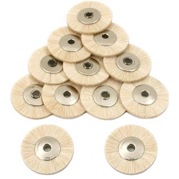 12 PCS Natural Soft Bristle Brush Wheels unmounted 3/4" Dia Brushes Rotary Tools
