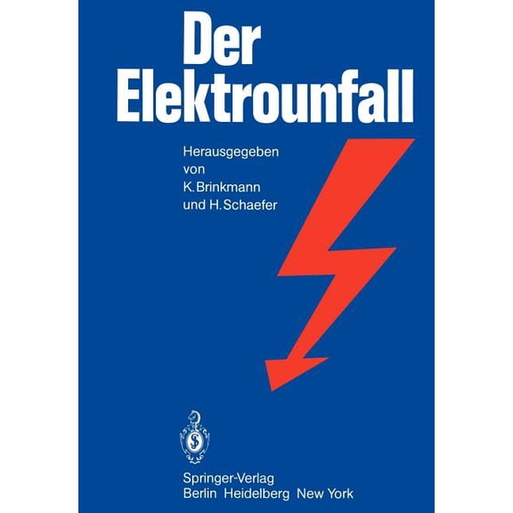Der Elektrounfall, (Paperback)