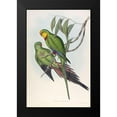 thumbnail image 2 of Gould, John 13x18 Black Modern Framed Museum Art Print Titled - Barrabands Parakeet, 2 of 5