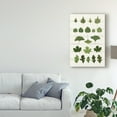 thumbnail image 3 of Trademark Fine Art 'Leaf Chart I Shiplap' Canvas Art by Wild Apple Portfolio, 3 of 4