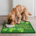 thumbnail image 2 of Dog Food Mat, Dog Mat for Food and Water, Pet Dog Cat Bowl Mat, Non-Slip Super Absorbent Cat Feeding Mat with Shamrock Leaf Irish,16inx24in, 2 of 7