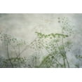 thumbnail image 2 of Poinski, Dianne 14x11 White Modern Wood Framed Museum Art Print Titled - Delicate Lace II, 2 of 4