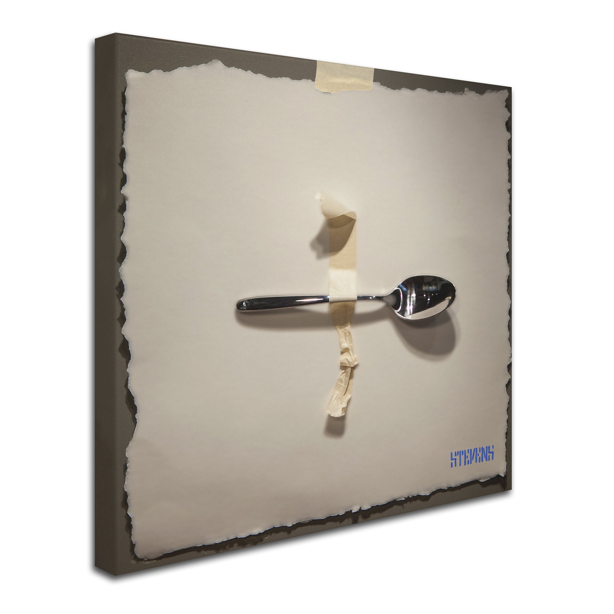 Trademark Fine Art "Spoon" Canvas Art by Roderick Stevens