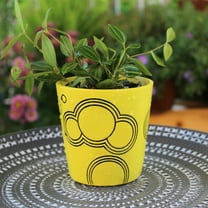 Resin Modern Succulent Planter Pot with Drainage Hole and Saucer 3 Inch Round Flower Plant Pot with Drainage for Indoor Outdoor Ideal Stocking Stuffers or Room, Office Home Decor 1PC* planters