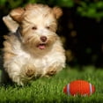 thumbnail image 5 of 2 pelotas deportivas con sonido y chirridos para masticar y morder, suministros para mascotas (1 pelota de rugby, 1 pelota de fútbol, talla S), 5 of 5