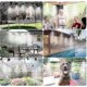 thumbnail image 2 of 15m/18m Water Spray Kit Wet Fog Garden Nebulizer Outdoor Misting System for Greenhouse Humidification Patio Cooling fg2025031700275, 2 of 5