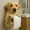 A, variante sur Support de Papier Hygiénique en Forme de Chien Imprimé 3D, Distributeur Amusant de Rouleaux de Papier Hygiénique Animal, Support de Rangement Décoratif Mural pour Salle de Bain et Cuisine