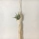 thumbnail image 5 of 3X Colgador de Planta de Aire Boho Macrame Soporte de Cuerda para Cesta Colgante Tillandsia Decoración del Hogar de Flores (13 CM), 5 of 5