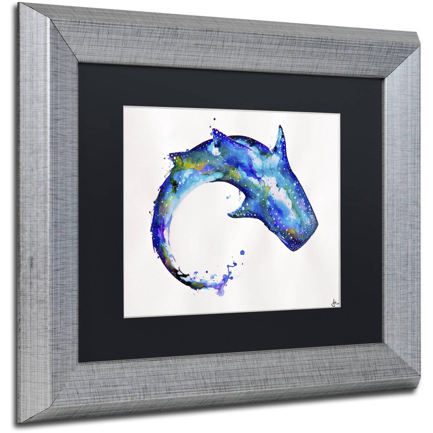 Trademark Fine Art 'Celestial' Canvas Art by Marc Allante, Black Matte, Silver Frame