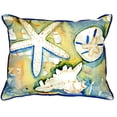 thumbnail image 3 of Betsy Drake ZP603 Beach Treasures Indoor & Outdoor Throw Pillow- 20 x 24 in., 3 of 4