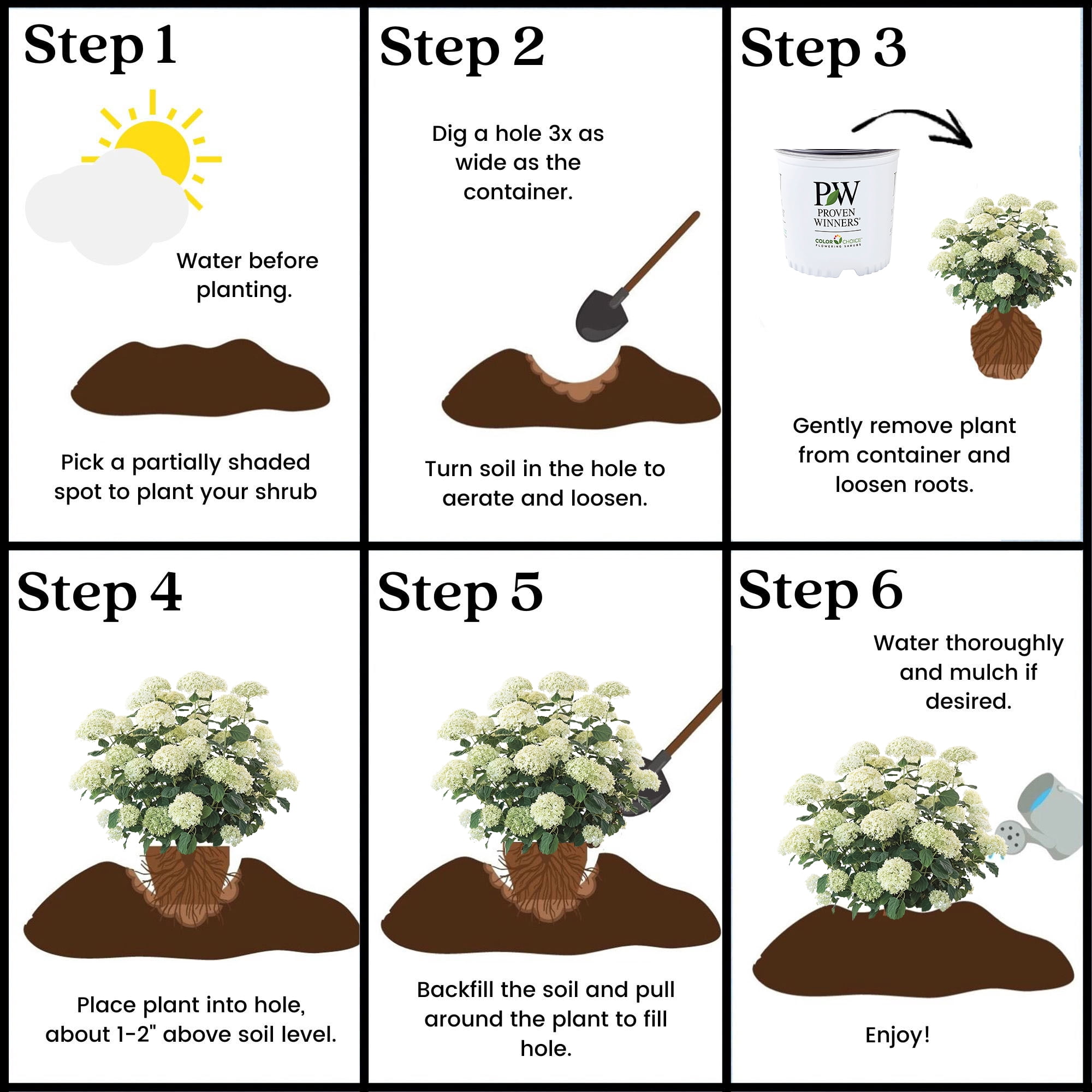 Proven Winners ColorChoice Incrediball Storm Proof Hydrangea Live Shrub (5 Gallon)
