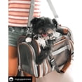 thumbnail image 6 of Gold Series Expandable Airline Approved Tote - Low Profile, Soft Sided Premium Pet Carrier, 6 of 9