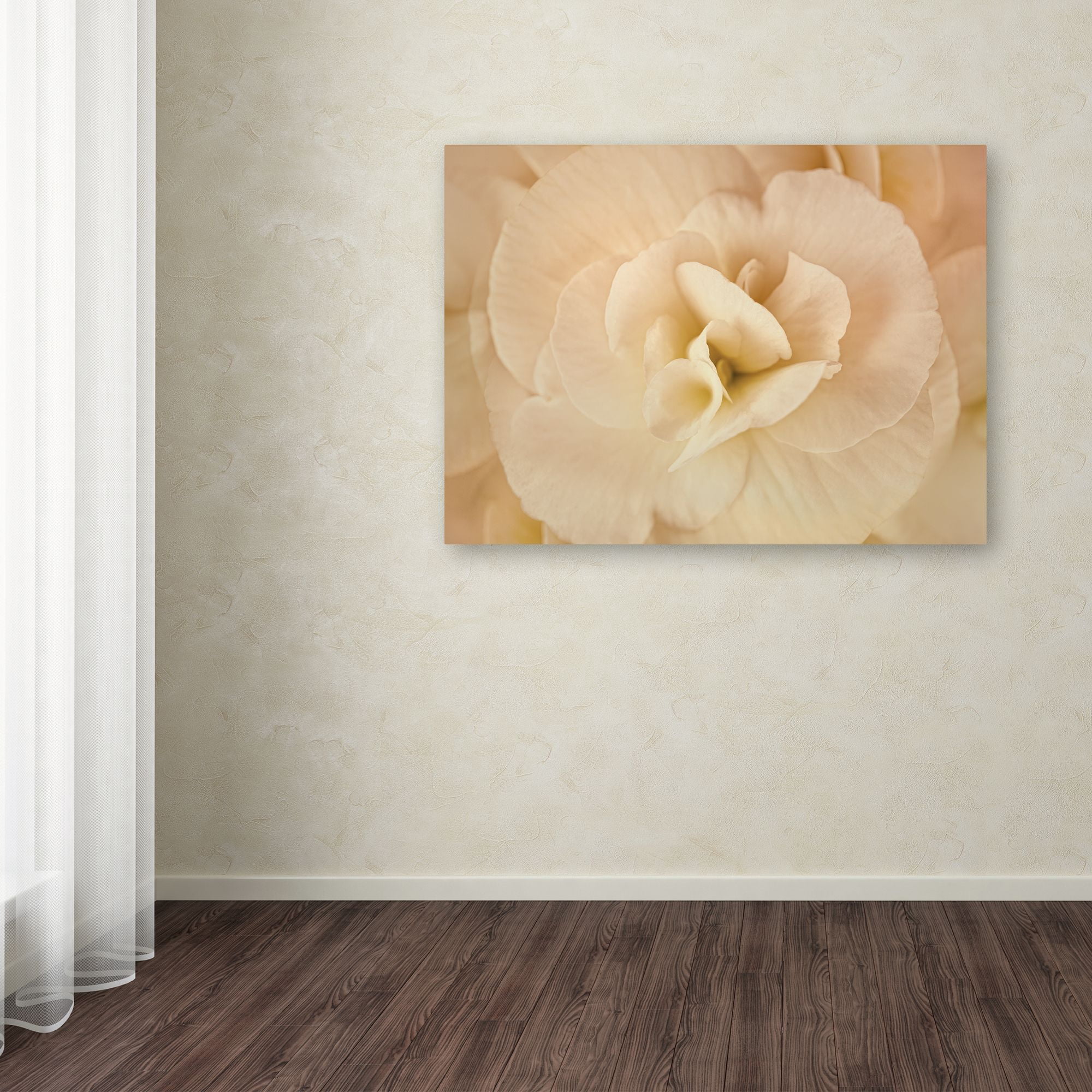 Trademark Fine Art 'Amber Begonia Flower' Canvas Art by Cora Niele