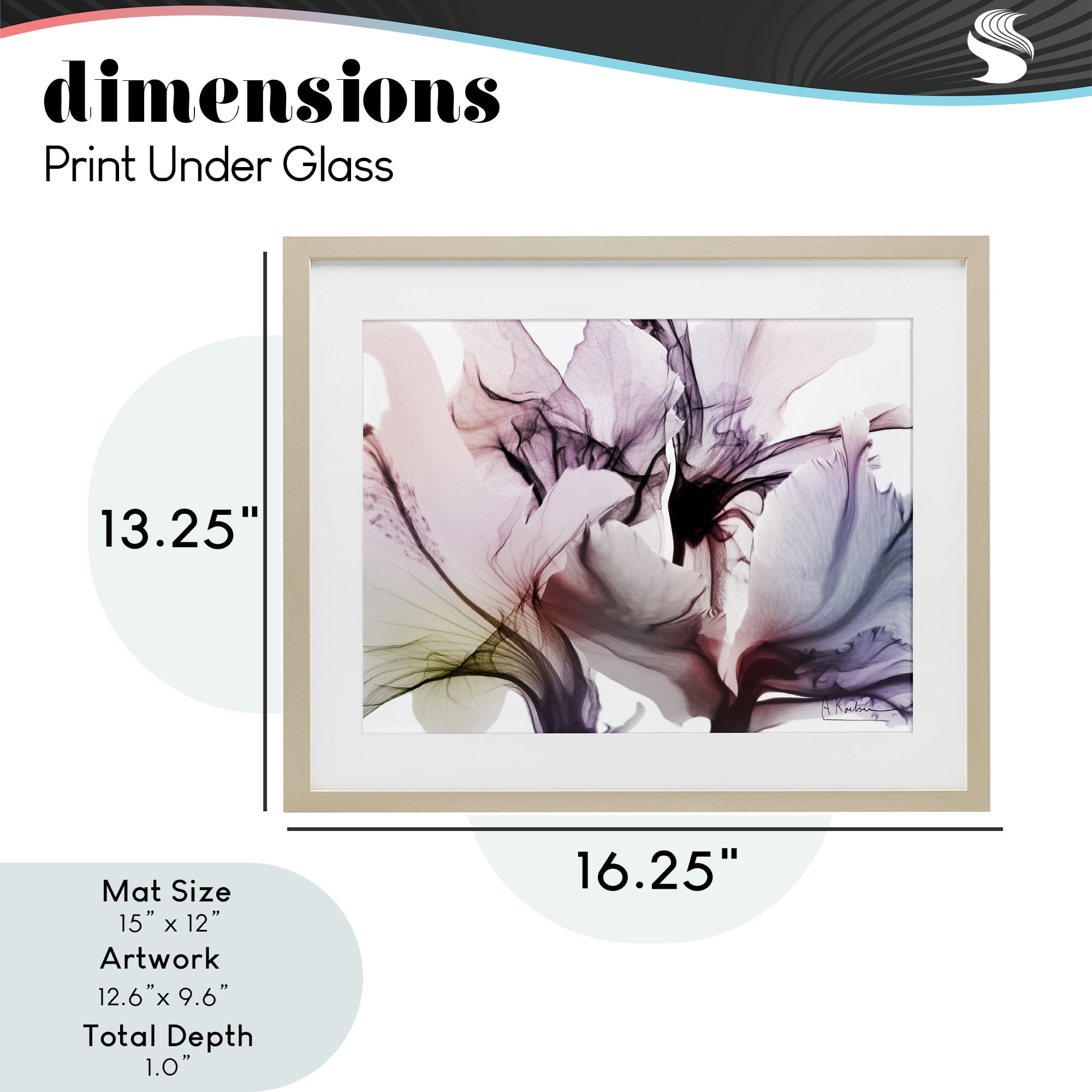 Stupell Industries Brilliant Song Flower Petals Birch Framed Print Under Glass, design by Albert Koetsier